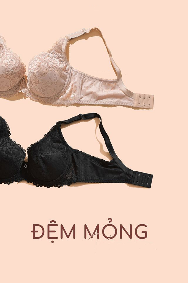 Áo Lót Ren Đệm Mỏng Gọng Mềm Ôm Trọn Bầu Ngực Chống Chảy Xệ,Nâng Đẩy Tốt, Dành Cho Ngực To Đài Loan Cao Cấp Áo Lót Ren Đệm Mỏng Gọng Mềm Ôm Trọn Bầu Ngực Chống Chảy Xệ,Nâng Đẩy Tốt, Dành Cho Ngực To Đài Loan Cao Cấp