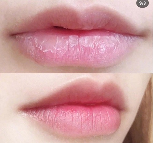 Son dưỡng môi không màu DHC Lip Cream (gói)