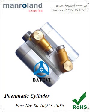 Pneumatic Cylinder 80.10Q13-A038