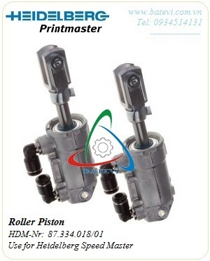 Roller piston 87.334.018