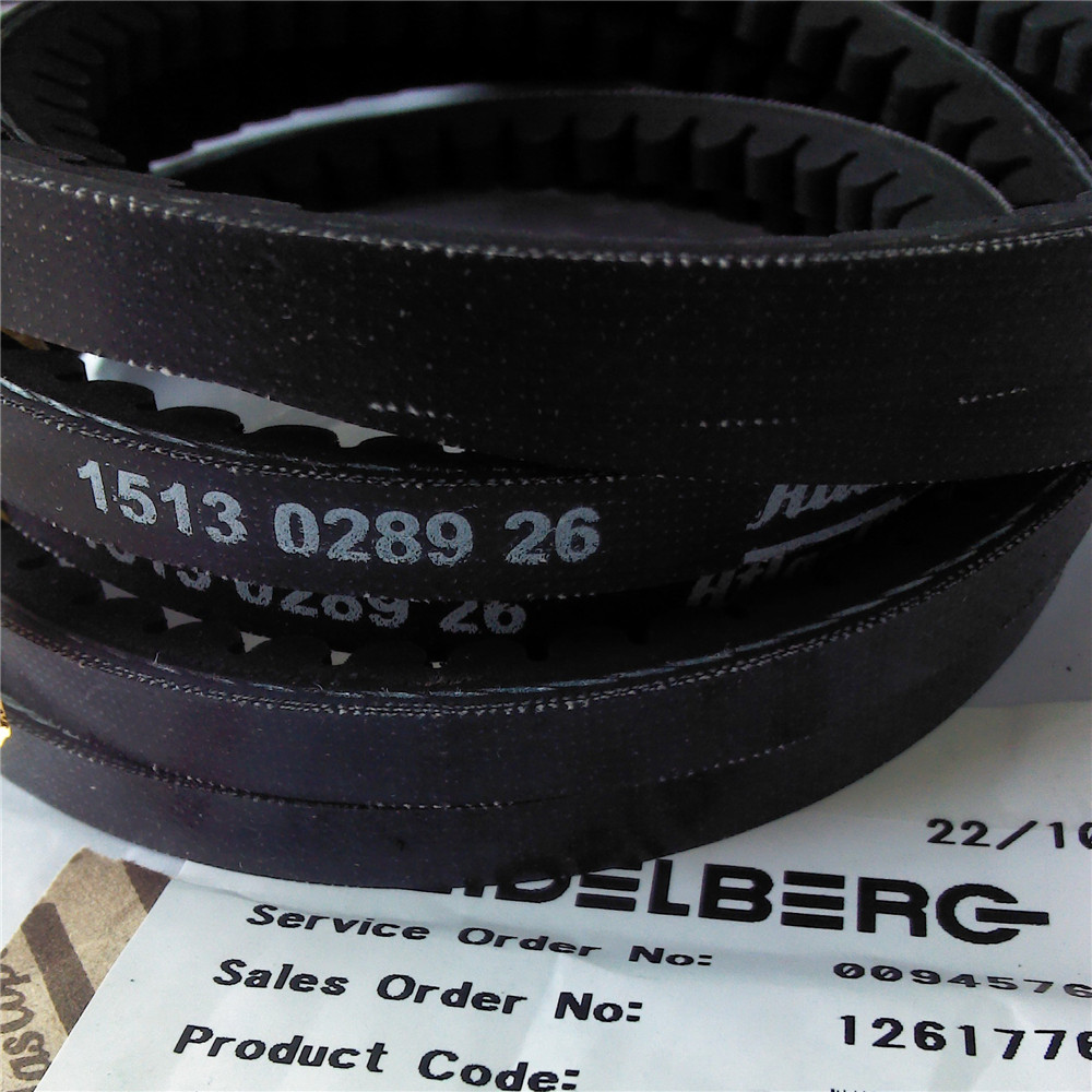 Drive belt C4.102.1931