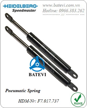 Pneumatic Spring F7.017.737