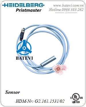 Sensor G2.161.1531