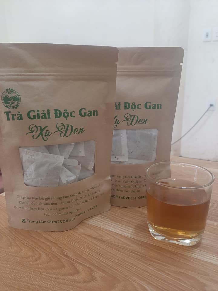 Thử nghiệm nhân giống và sản xuất sản phẩm từ cây Xạ đen  tại Vườn quốc gia Xuân Sơn