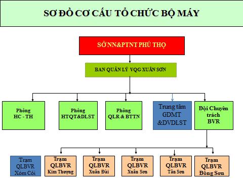 Tổ chức bộ máy