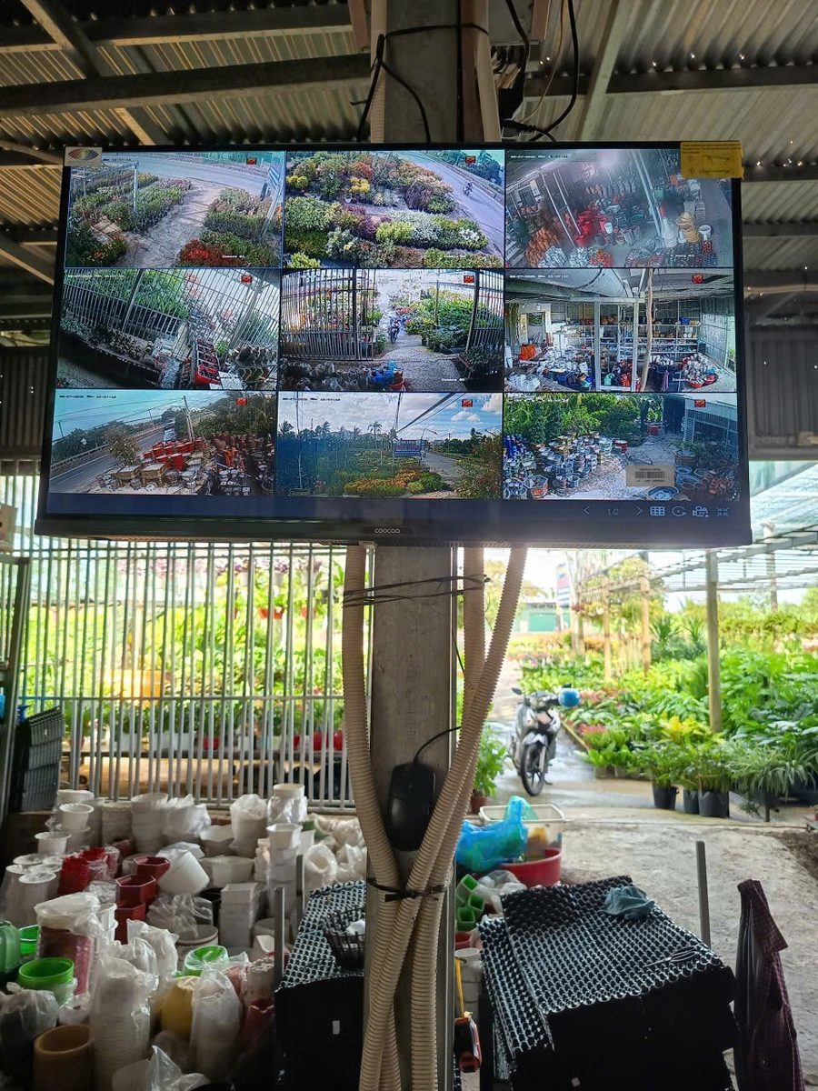 Lắp đặt camera quan sát cho nhà vườn tại Tây Ninh: Theo dõi toàn khu vực