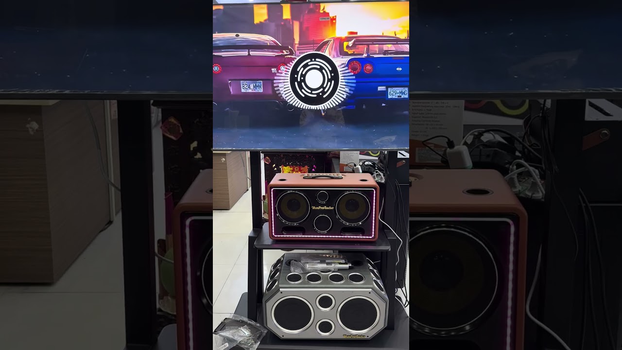 Đánh giá nhanh loa karaoke xách tay 816L Bass