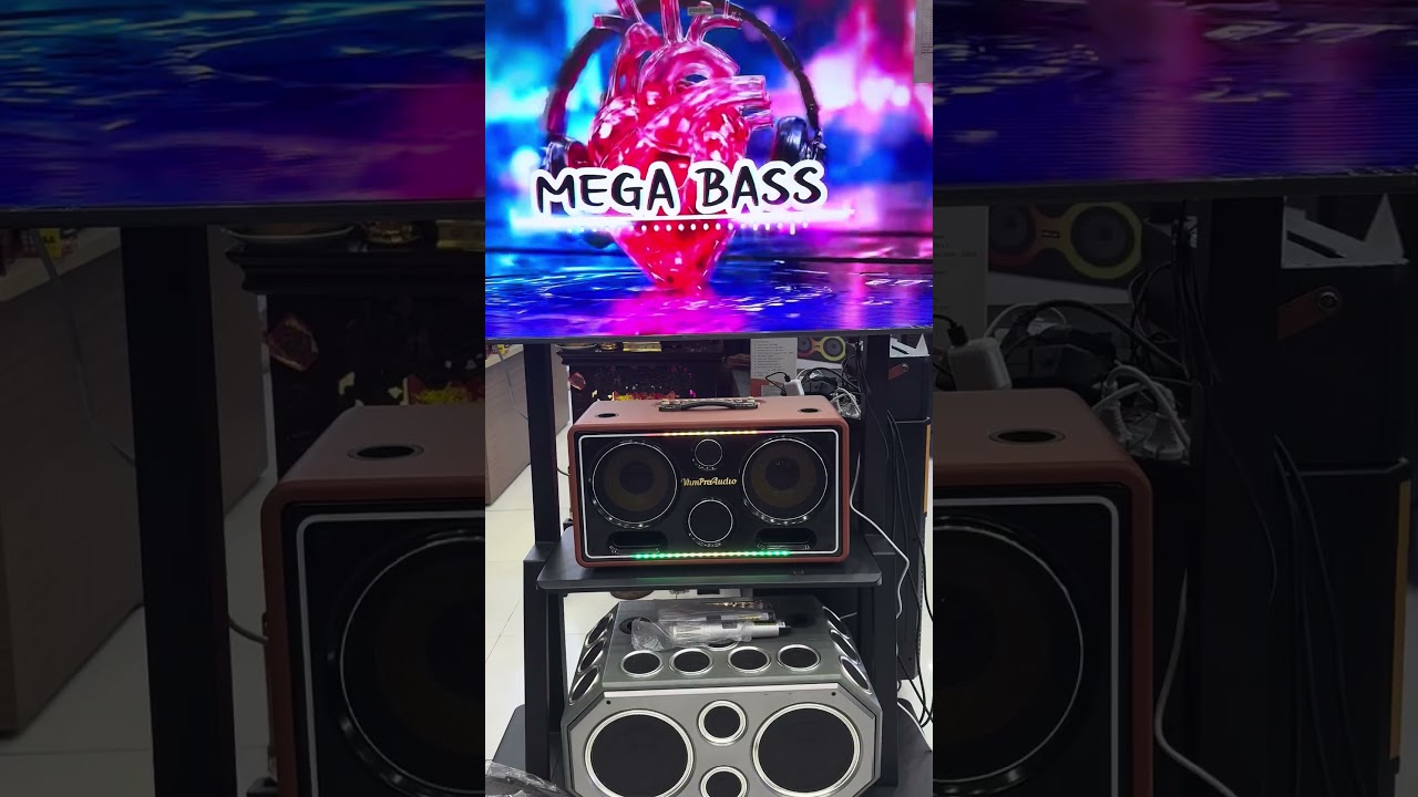 Loa karaoke xách tay 816L Super Bass có đáng chọn?