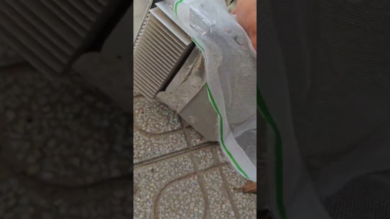 Thằn lằn chui vào bo nóng máy lạnh Daikin: Cách xử lý và phòng tránh