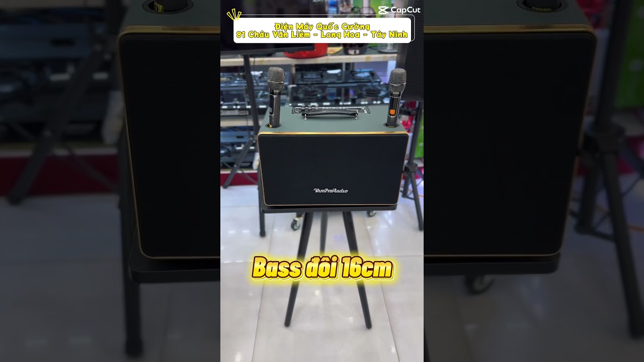 Loa karaoke mini cho gia đình dịp Tết: Cách chọn dễ hát