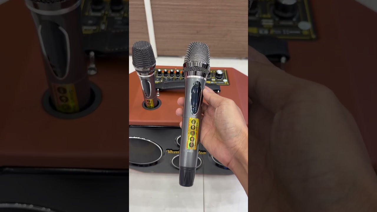 Kinh nghiệm chọn loa karaoke mang đi du lịch tiện lợi