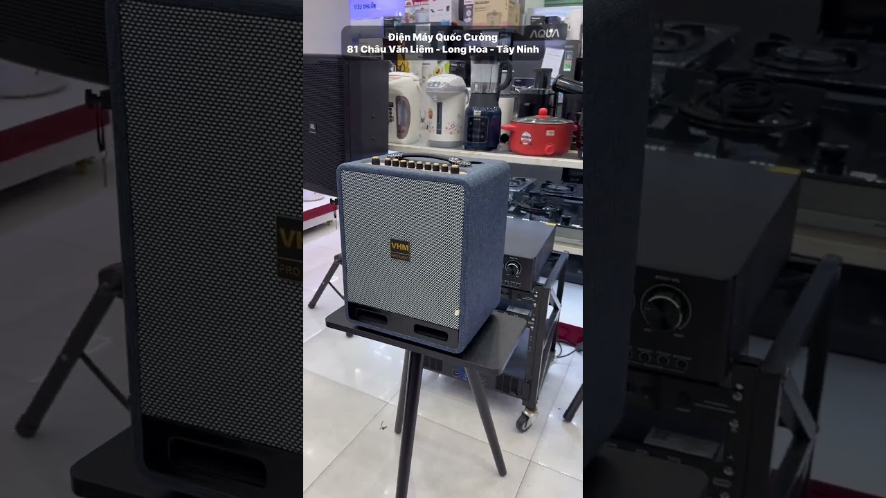 Loa karaoke xách tay chơi Tết tại Tây Ninh: Cách chọn phù hợp