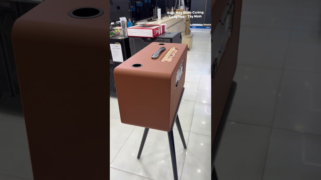 Loa karaoke xách tay tại Tây Ninh: Gọn nhẹ, dễ hát