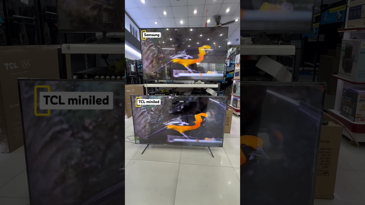 So sánh tivi Samsung LED 55 inch và TCL MiniLED 55 inch dưới 12 triệu