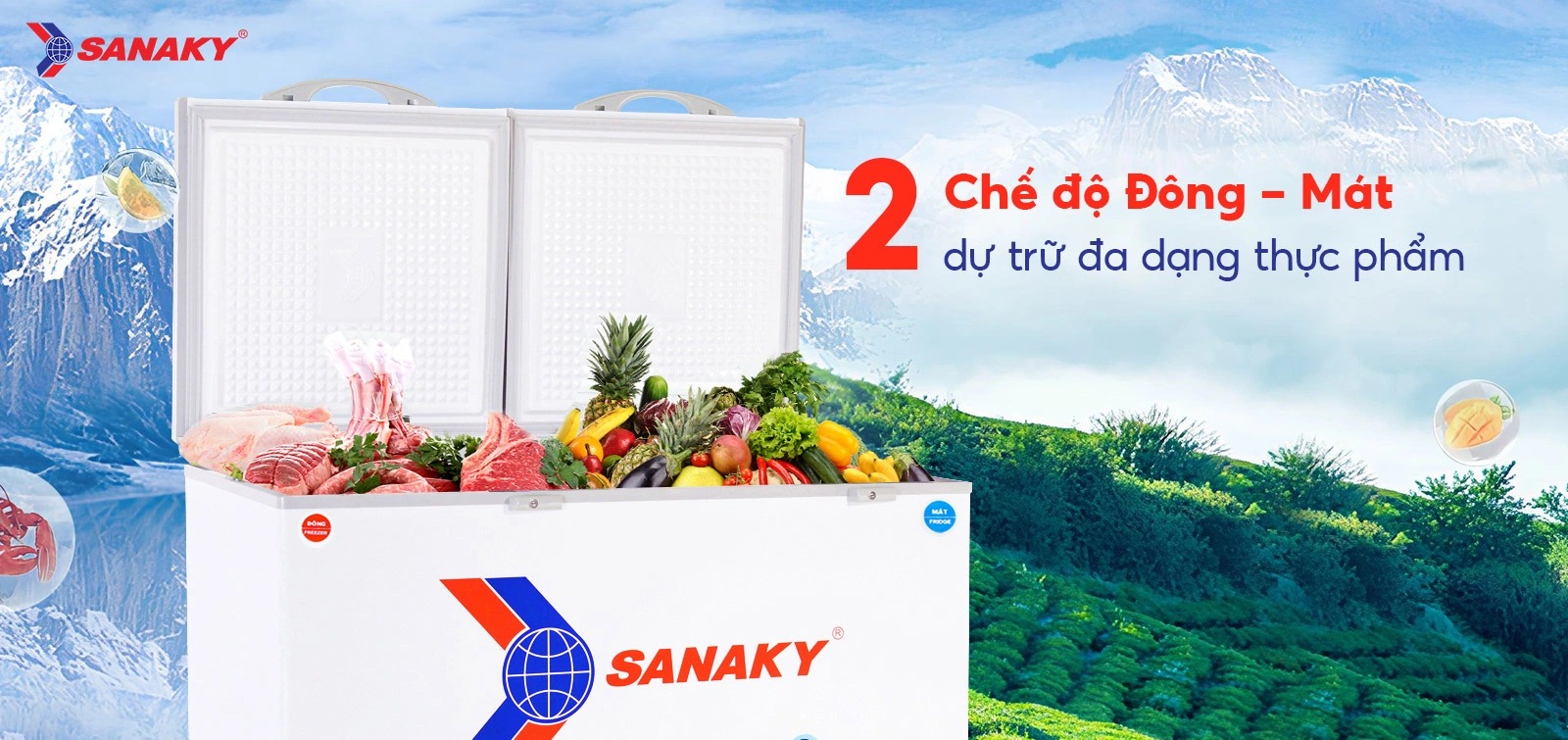 Hai ngăn đông mát của tủ Sanaky VH-5699W3