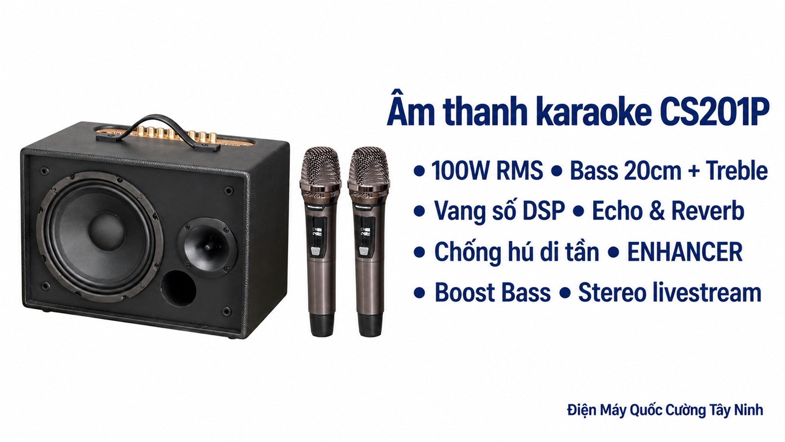Hệ thống bass 20cm, treble và tính năng âm thanh karaoke SONCAMEDIA CS201P