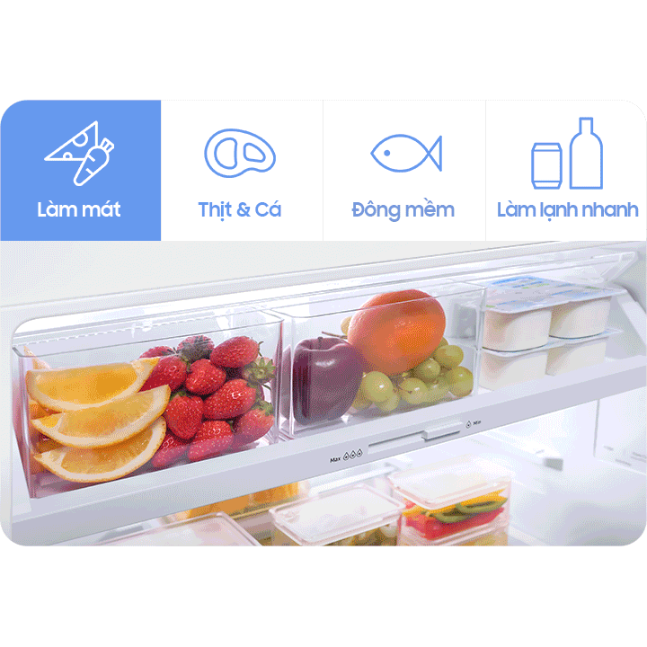 Bốn chế độ ngăn Optimal Fresh+ trên Samsung RT38CG6584B1SV