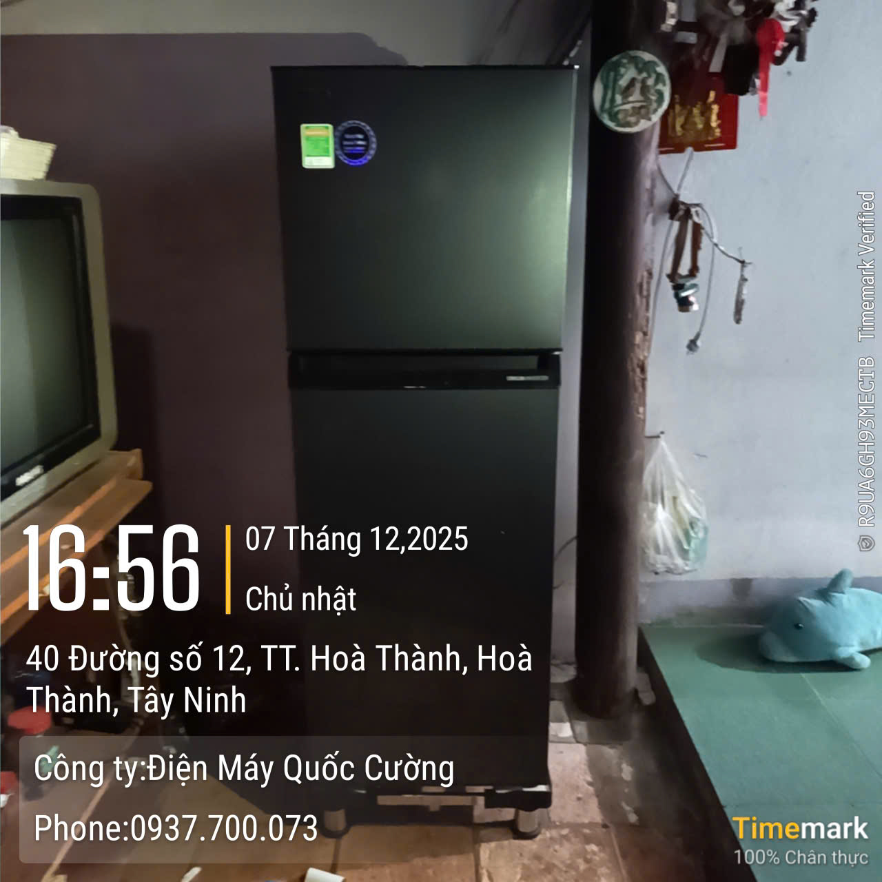 Tủ lạnh Toshiba Inverter 233 lít GR-RT303WE-PMV(52)