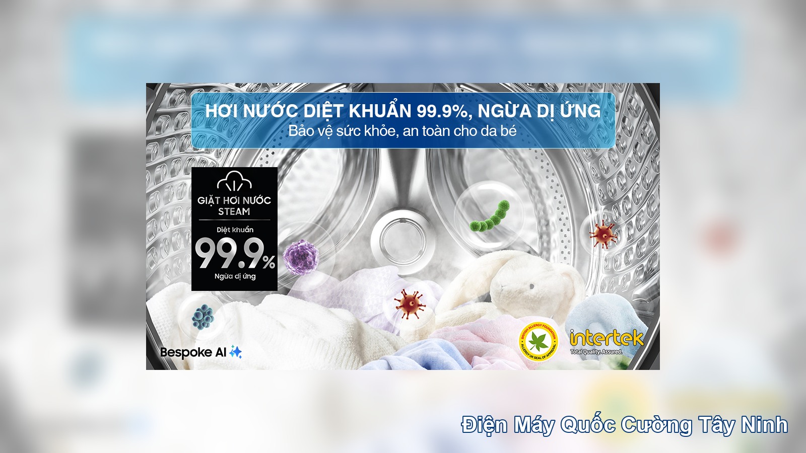 Giặt hơi nước Hygiene Steam Samsung WW10DB7U34GBSV