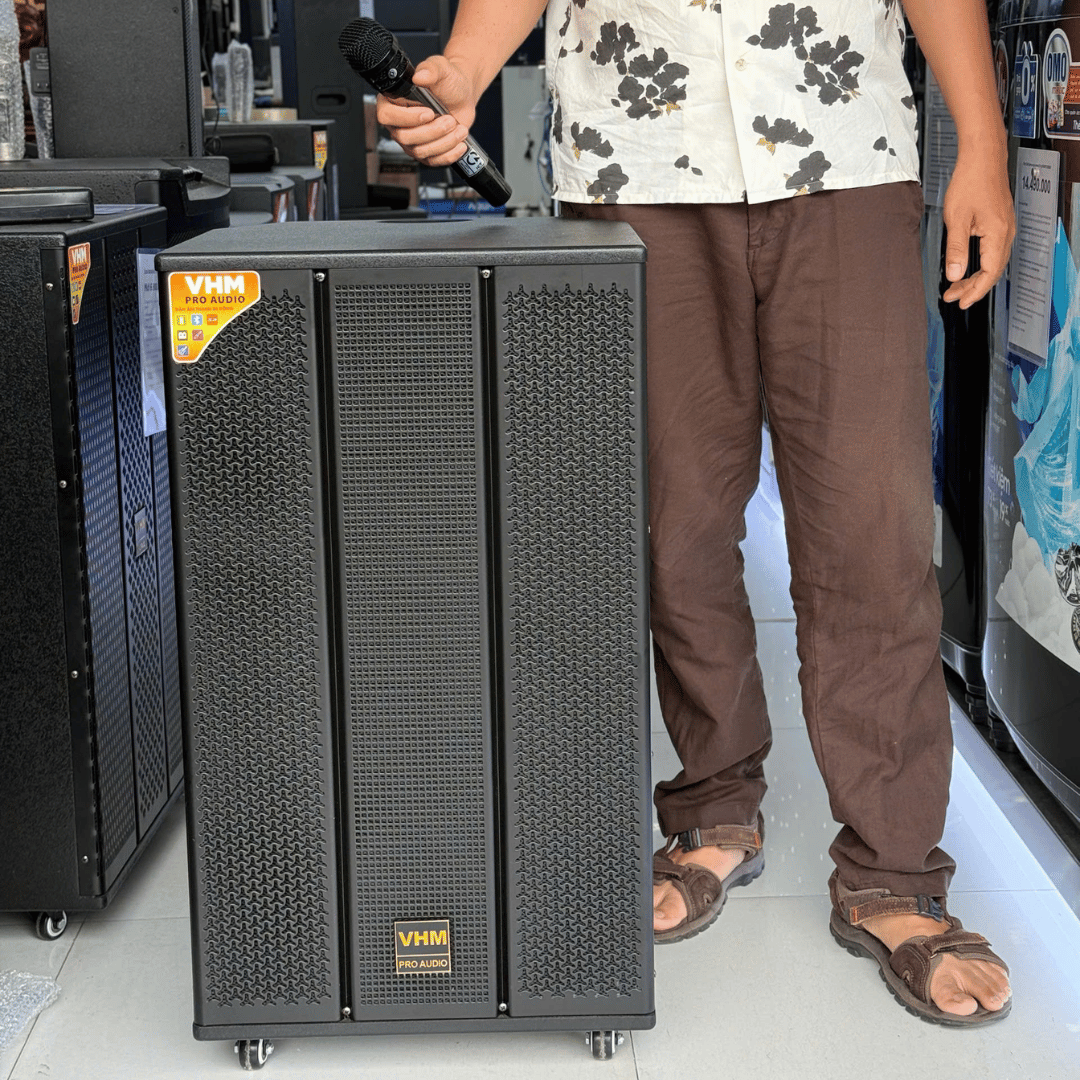 Loa Karaoke Di Động VHM 15A01 / Bass 40cm / 200W