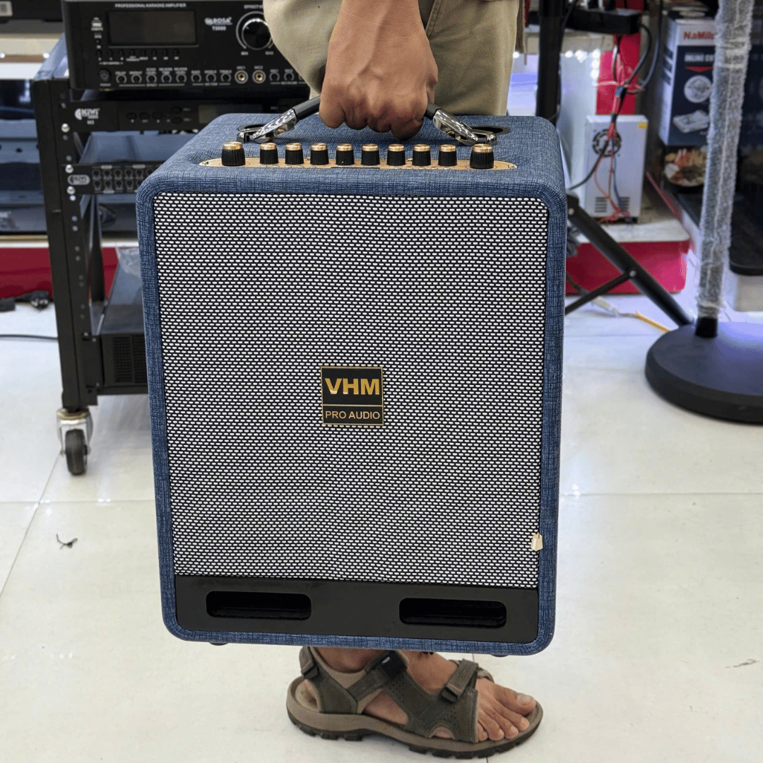 Loa Karaoke Xách Tay VHM 6502 Bass đôi 16cm
