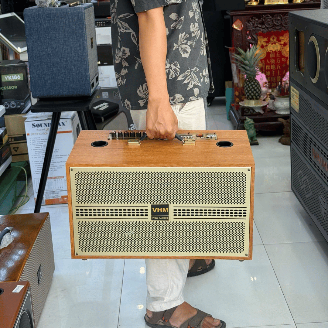 Loa karaoke xách tay VHM P288 Bass đôi 20cm / Bảo hành 1 năm