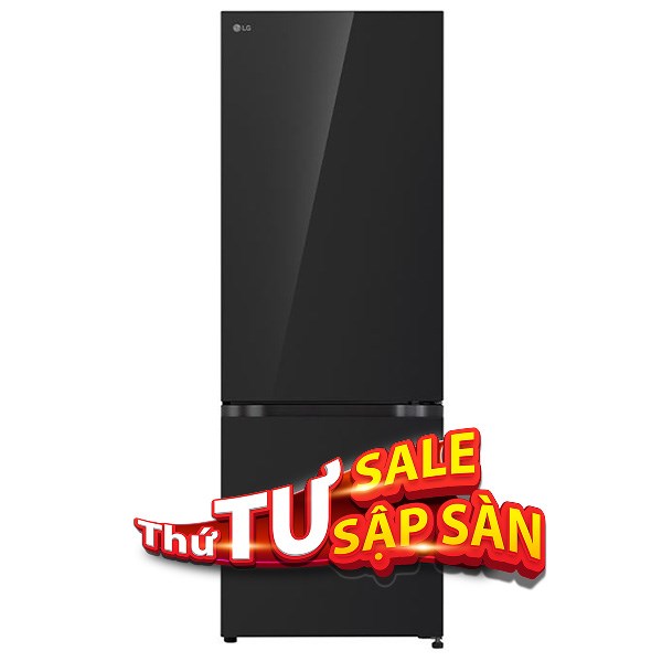 Tủ lạnh LG Inverter 335 lít LBB33BLGA