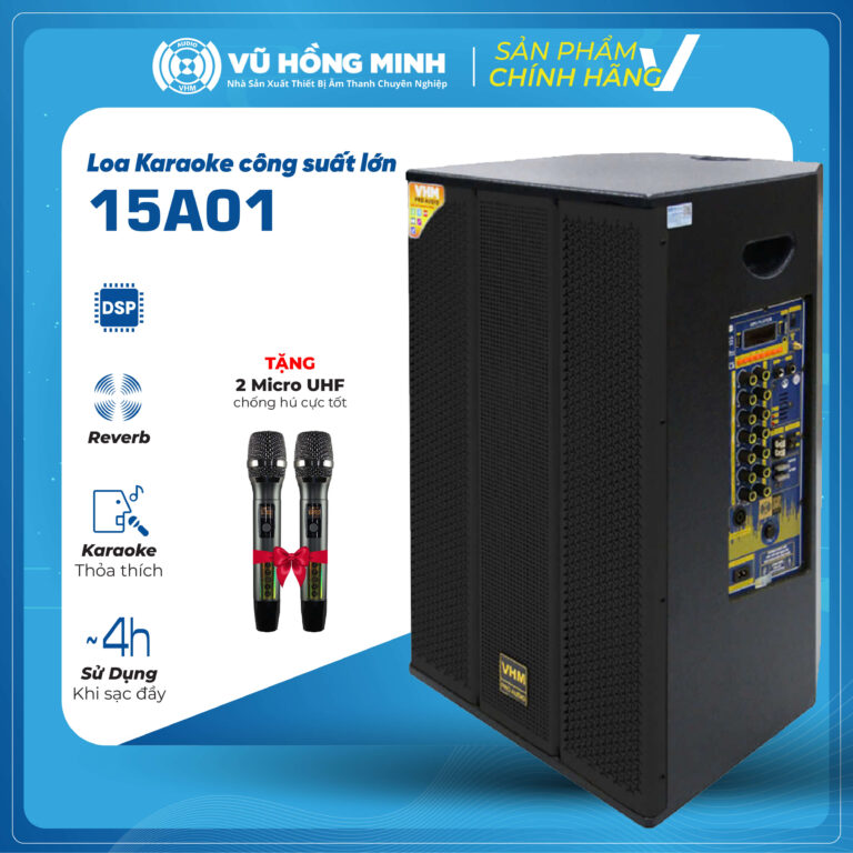 Loa Karaoke Di Động VHM 15A01 / Bass 40cm / 200W