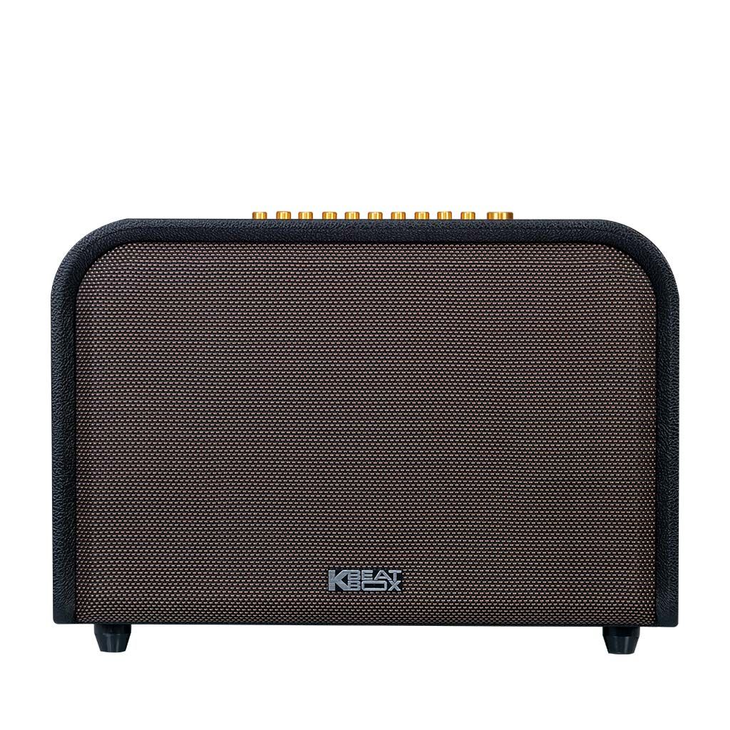 Loa xách tay karaoke Acnos ACOUSTIC 3 ( Bass 25cm, Công suất 220W )