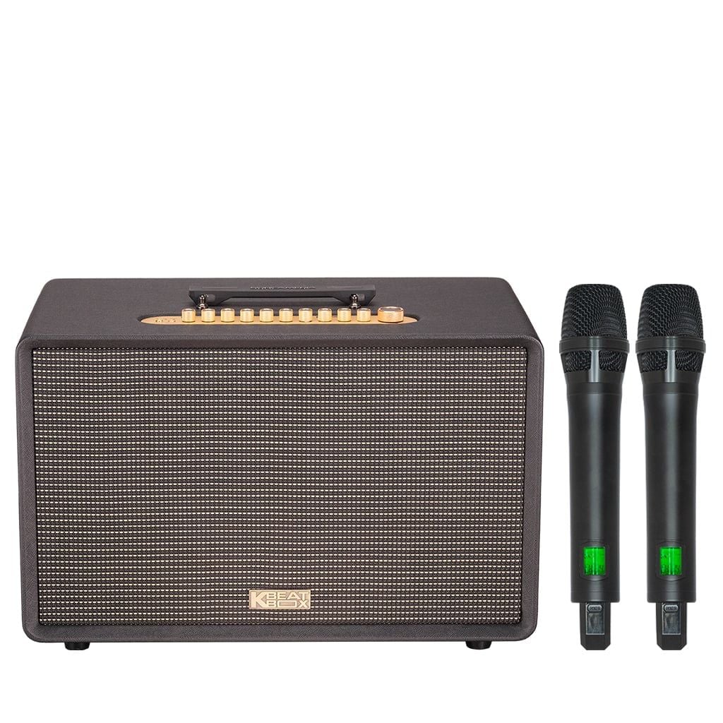 Loa karaoke xách tay SONCAMEDIA FLAC 39 Bass 25cm 500W