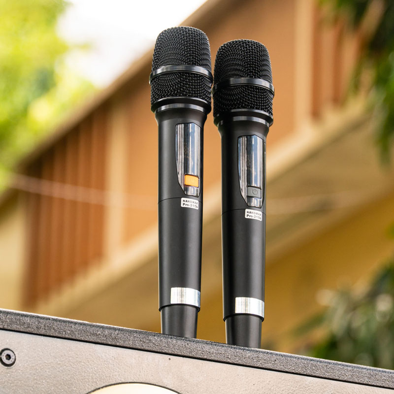 Loa Kéo Bình & Điện Nanomax Pro-215B Bass Đôi 40cm 2200w