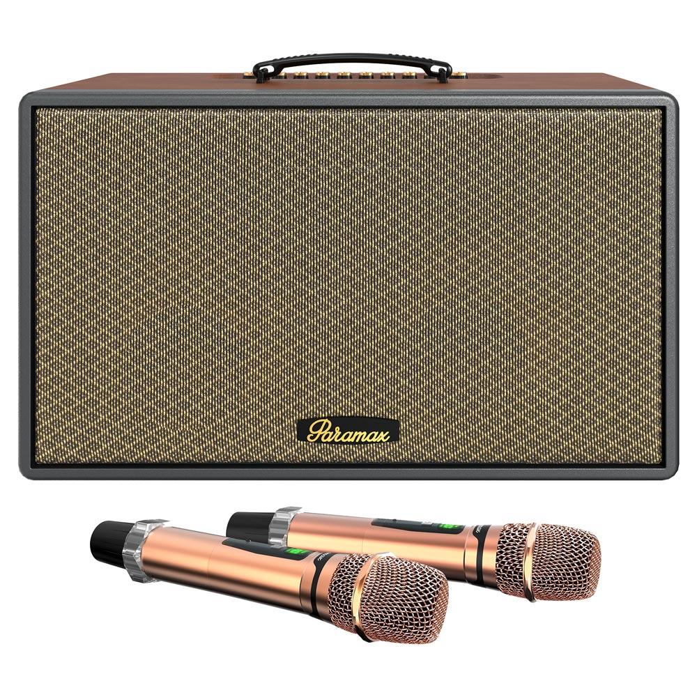 Loa hát karaoke xách tay Paramax Saga