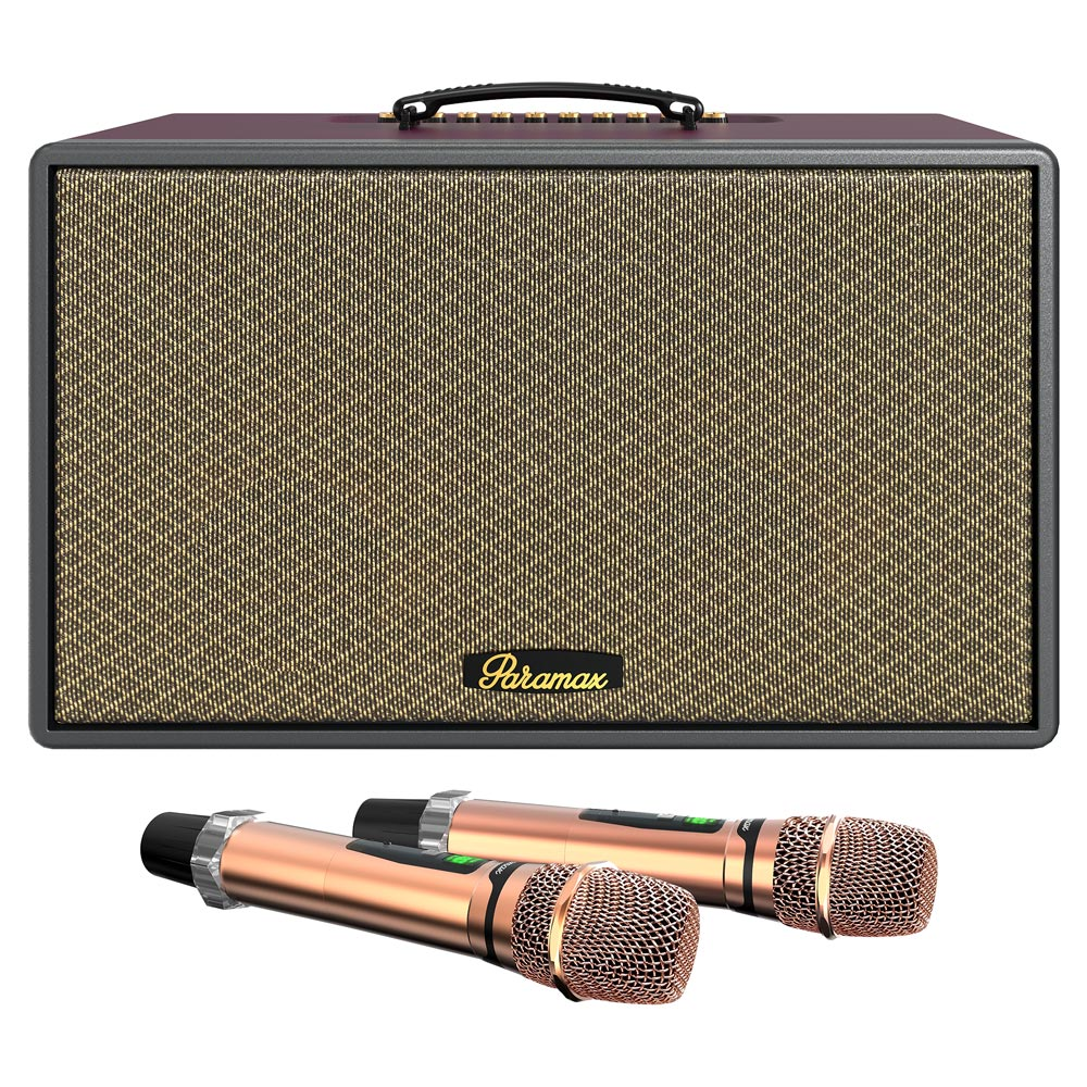 Loa hát karaoke xách tay Paramax Saga