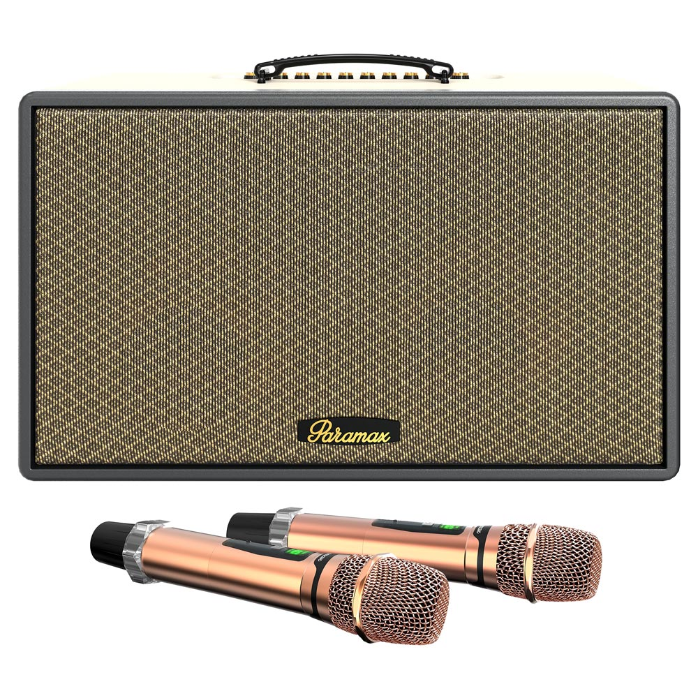 Loa hát karaoke xách tay Paramax Saga