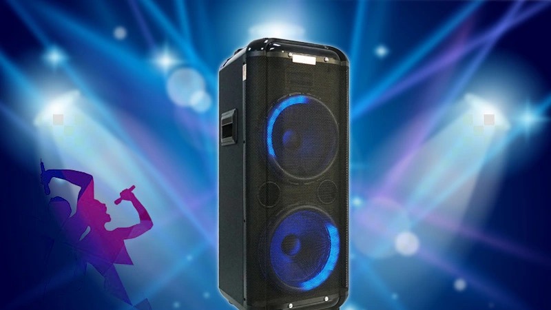 Loa karaoke CAVS K210 - tổng quan