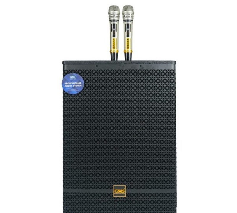 Loa kéo CAVS PA18 bass 50cm 400W - tổng quan