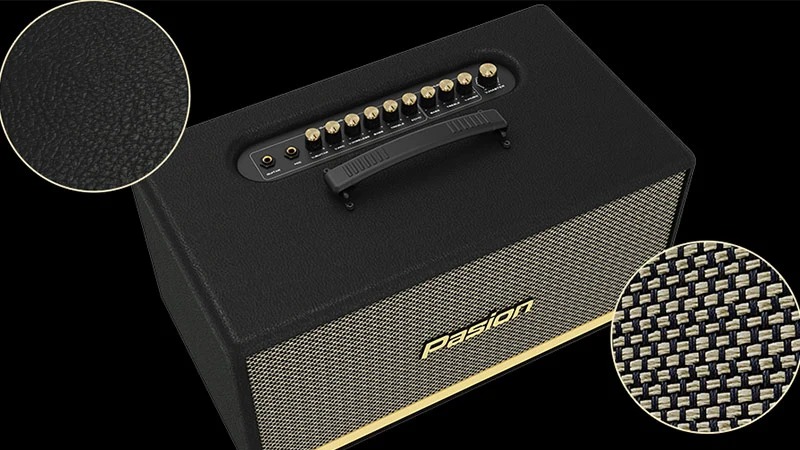 Loa karaoke Paramax Pasion 2 công suất 100W Bluetooth 5.0 - tổng quan