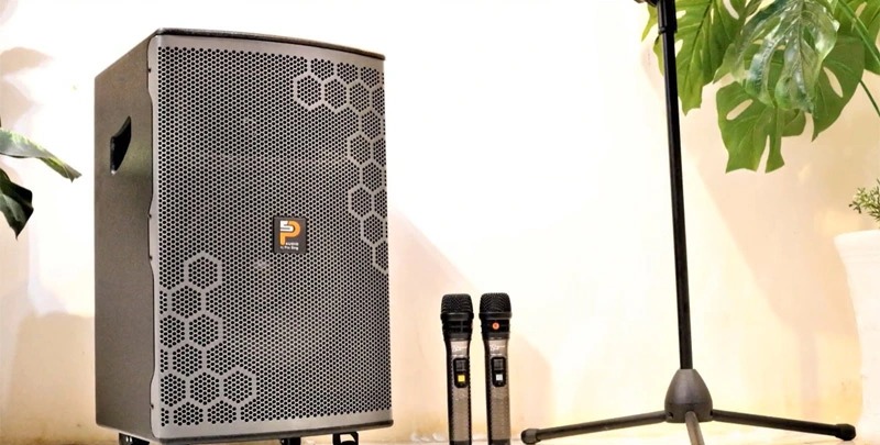Loa ProSing W12 Bee - tổng quan