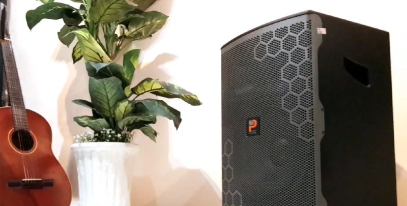 Loa ProSing W12 Bee - thiết kế