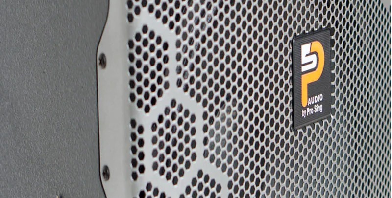 Loa ProSing W12 Bee - kết nối
