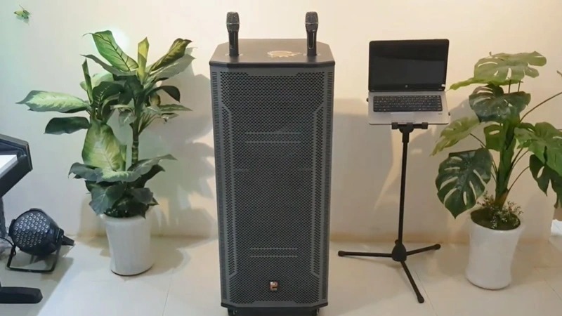 Loa Prosing W215B - thiết kế