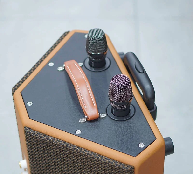 Loa karaoke Sumico Hexagon Plus bass 16.5cm công suất 250W - thiết kế