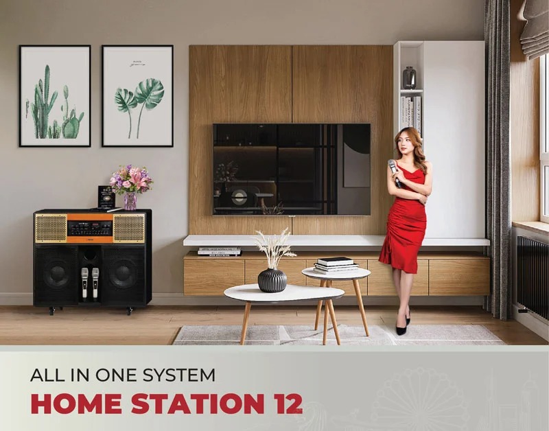 Loa Sumico Home Station 12 - tổng quan
