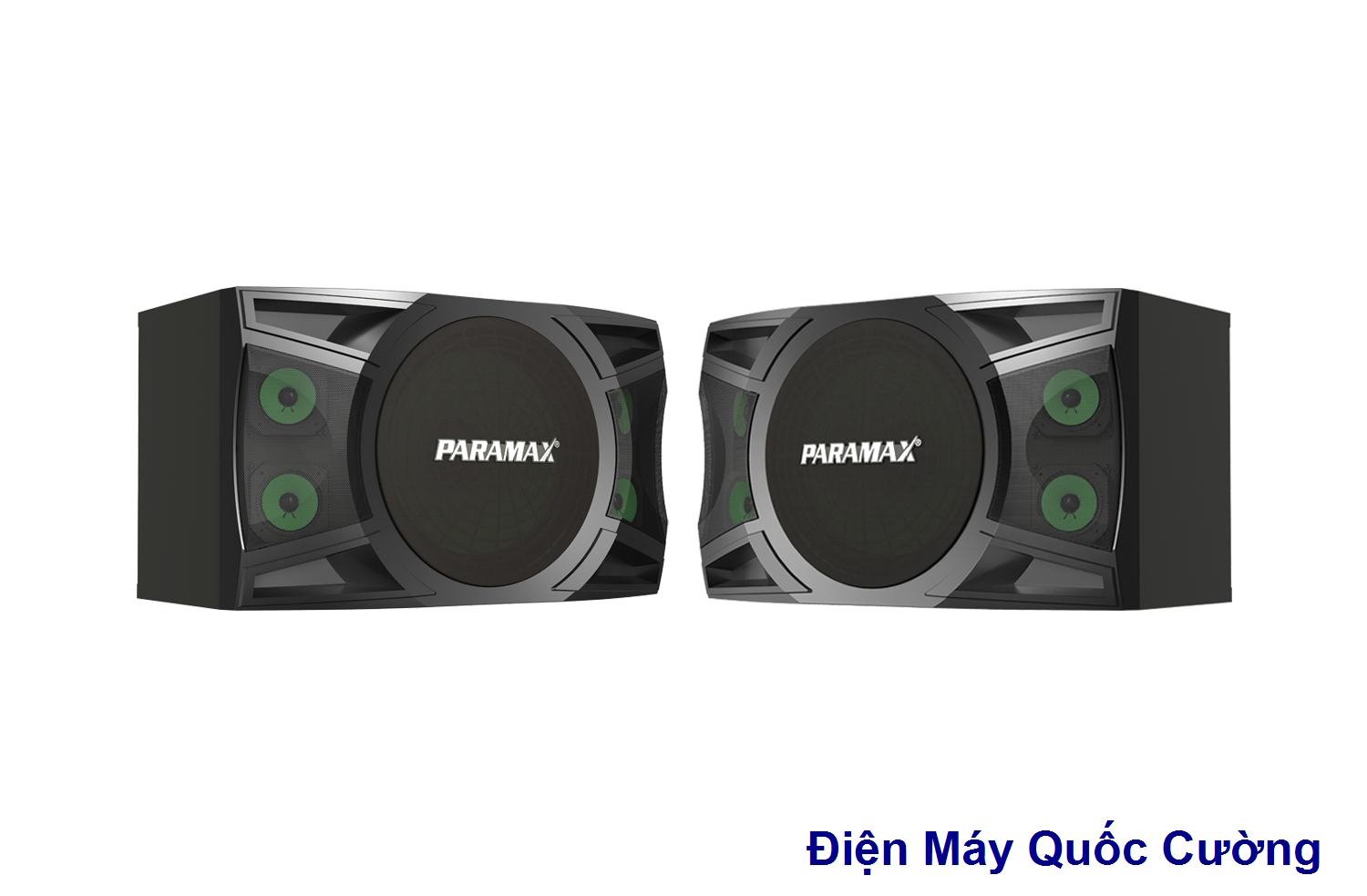 Bộ loa karaoke PARAMAX P-1000 trong dàn máy P-1000 và A-1000