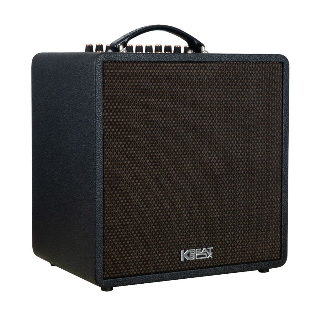 Loa karaoke xách tay SONCAMEDIA QUAD 64 Ver2 / Bass 16cm x2 / 180W