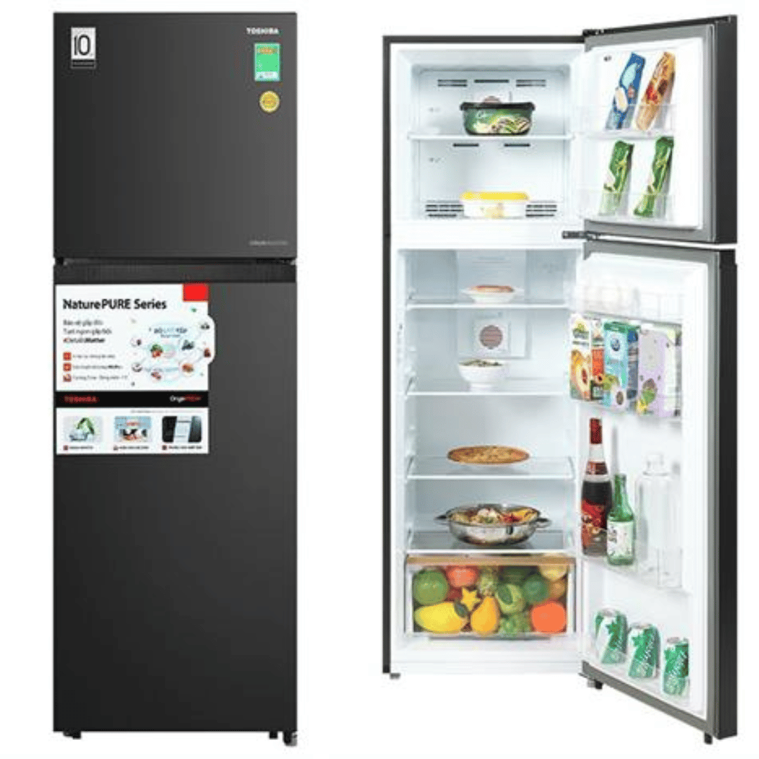 Tủ lạnh Toshiba Inverter 271 lít GR-RT349WE-PMV(68)