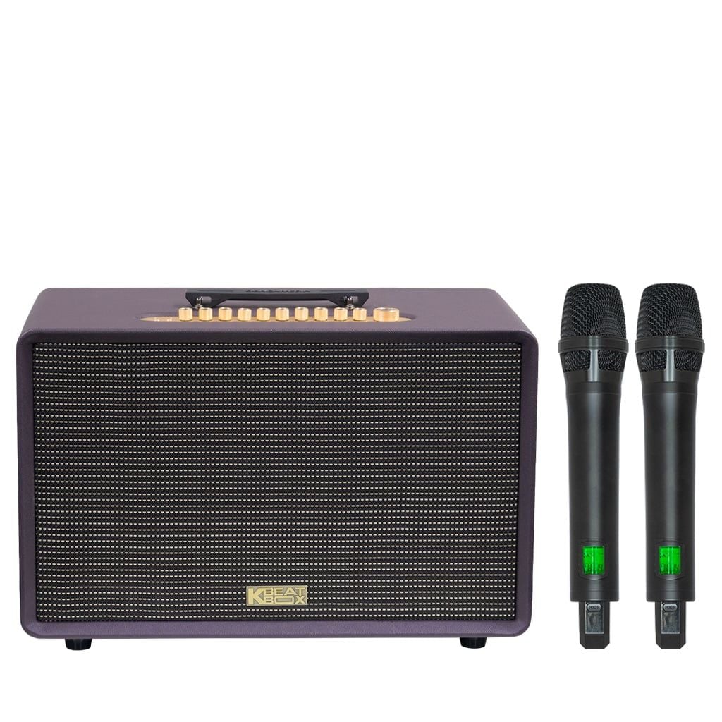 Loa karaoke xách tay SONCAMEDIA FLAC 36 ULTIMATE Bass 20cm 500W