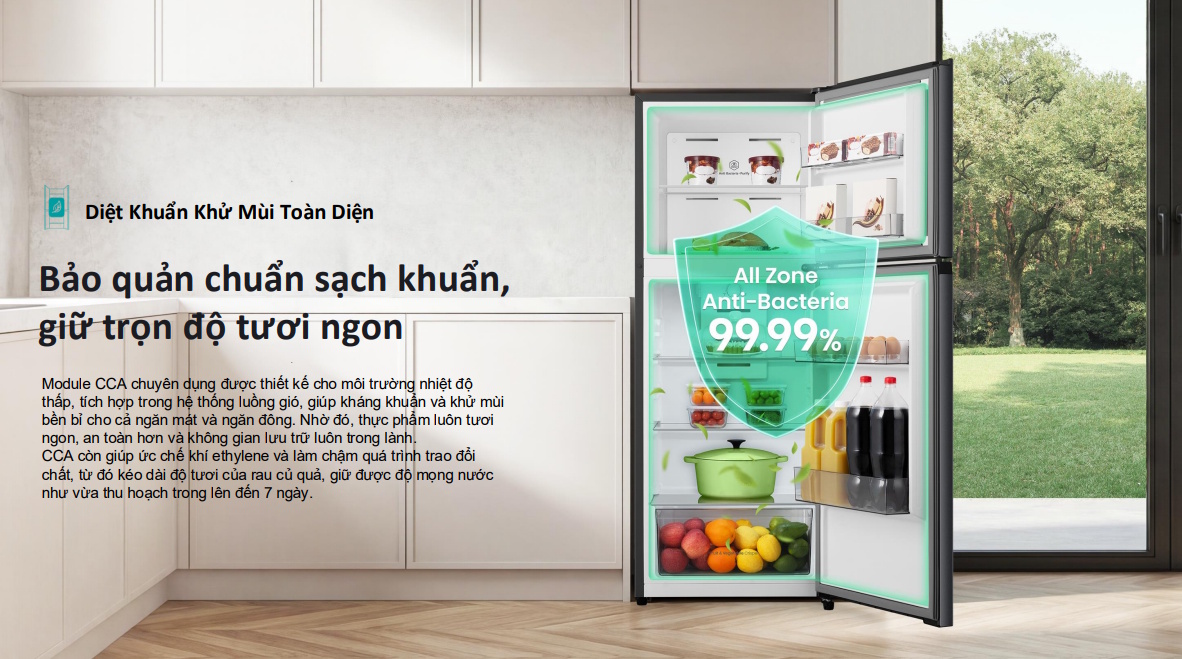 Tủ lạnh Hisense Inverter 205 lít RT201N3ES - Khử mùi, diệt khuẩn toàn diện với công nghệ CCA