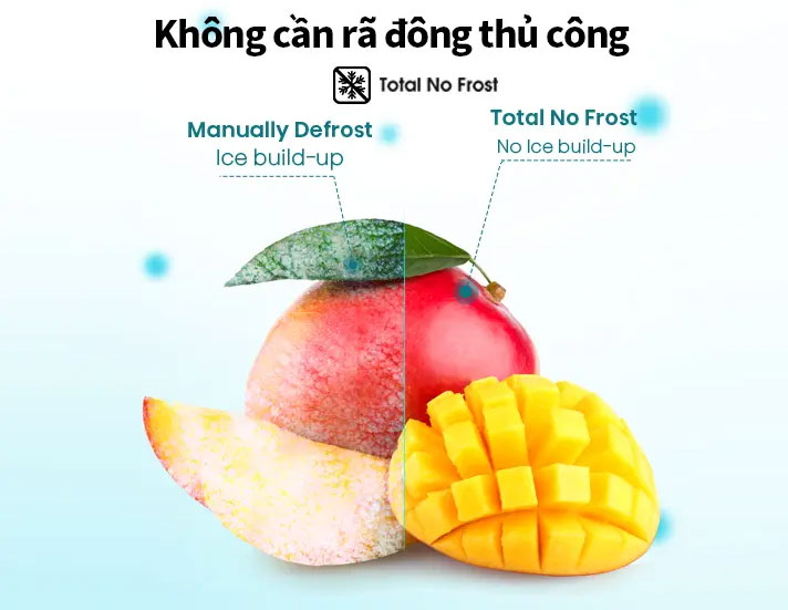 Tủ lạnh Hisense Inverter 205 lít RT256N4EBN - Không đóng tuyết, không cần rã đông thủ công nhờ công nghệ Total No Frost