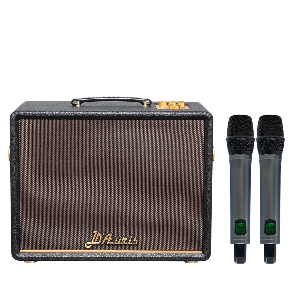 Loa karaoke xách tay SONCAMEDIA D'Auris 200 Bass 25cm 150W